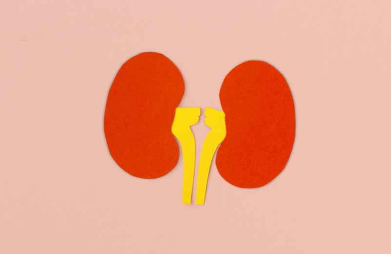 Comment éliminer un calcul rénal rapidement et soulager la douleur ?-Étape Santé Nantes