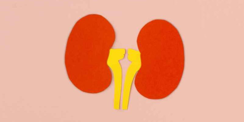 Comment éliminer un calcul rénal rapidement et soulager la douleur ?-Étape Santé Nantes